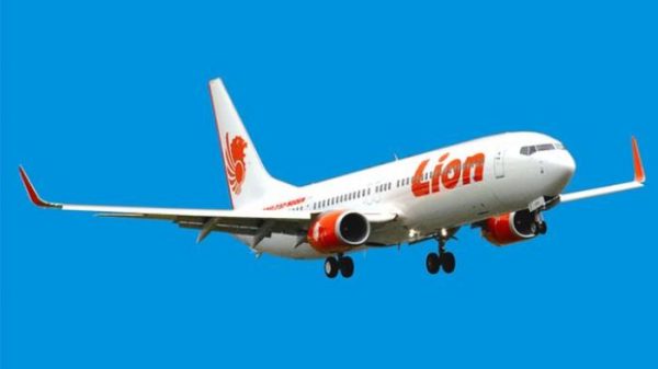 Pesawat Lion Air/net