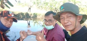 Pemuda Pancasila (PP) Ranting Desa Wanasari Kecamatan Wanasari membuka lahan untuk budidaya ikan dan bercocok tanam/foto:ist