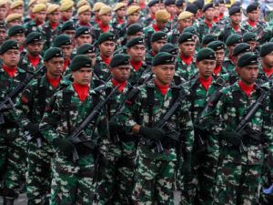 Tentara Nasional Indonesia/Ist