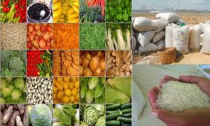 Ilustrasi beras,daging dan sayuran/foto: Istimewa