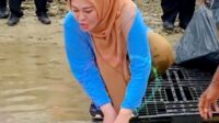 Bupati Pandeglang Irna Narulita, SE, MM, melepas induk penyu di pantai sekitar Tanjung Lesung, Rabu, 7 Juni 2023 (Foto:Dok. Disparbud Kabupaten Pandeglang)