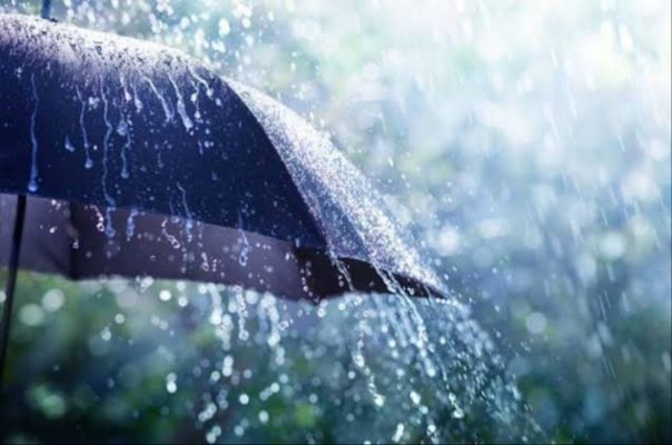 Awal musim hujan pada tahun ini di sebagian besar wilayah DKI Jakarta diperkirakan berlangsung pada November dengan puncaknya tahun depan. Cuaca